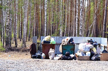 Çöp kutusu çöp ormandaki dolu. Ekoloji sorun kavramı. Tonda