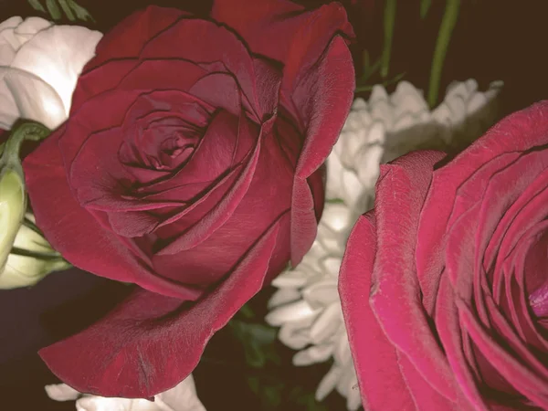 Färgstark Bakgrund Ros Blomma Bukett Vintage Bakgrund Blommig Sammansättning — Stockfoto