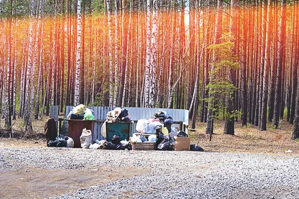 Litter box full of garbage in forest. Concept of ecology problem. Toned