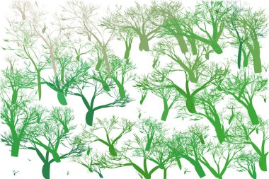 Web tasarımı için beyaz zemin üzerine yeşil ağaçlı soyut koleksiyonu. Orman arka plan, doğa kavramı, vektör çizim.