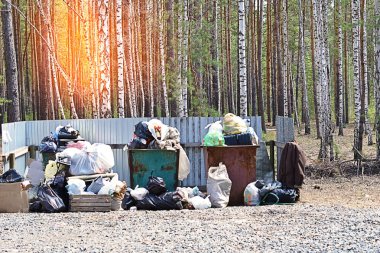 Çöp kutusu çöp ormandaki dolu. Ekoloji sorun kavramı. Tonda