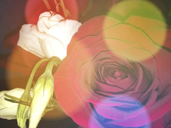 Colorful Backdrop Rose Flower Bouquet Vintage Background Floral Composition — Stock Photo, Image