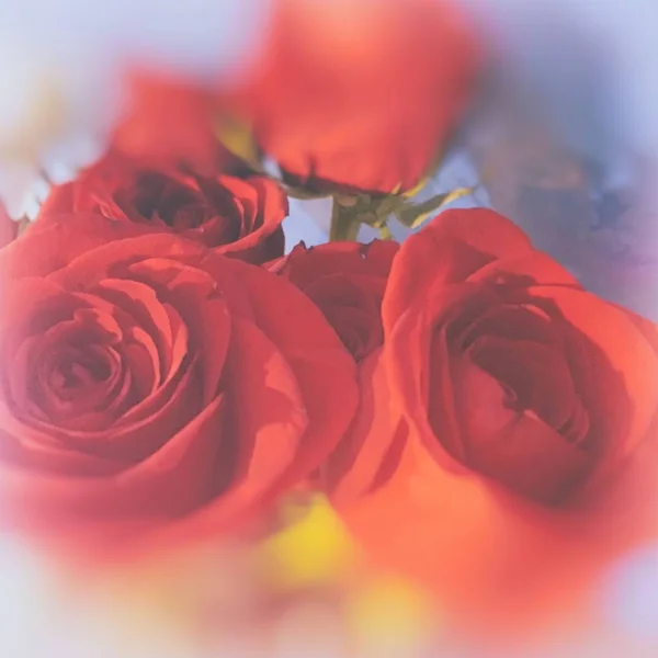Fond Coloré Bouquet Fleurs Rose Fond Vintage Composition Florale — Photo