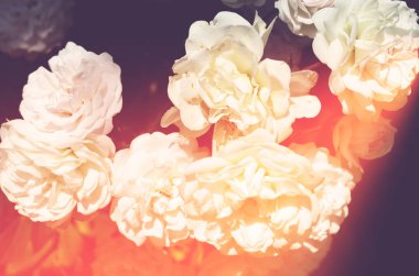 Renkli zemin. Gül çiçek buketi arka plan. Tonda çiçek kompozisyon