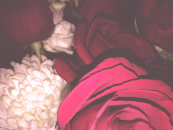 Colorful backdrop. Rose flower bouquet vintage background. Floral composition