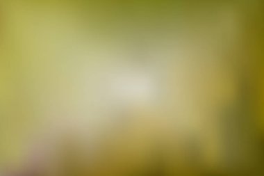 Soyut parlak ve pastel yeşil renkte degrade kafes arka plan bulanık. Renkli düzgün banner şablon. Eps10 kolay düzenlenebilir yumuşak renkli vektör resimde saydamlık olmadan.