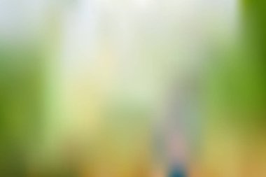 Soyut parlak ve pastel yeşil renkte degrade kafes arka plan bulanık. Renkli düzgün banner şablon. Eps10 kolay düzenlenebilir yumuşak renkli vektör resimde saydamlık olmadan.