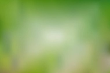 Soyut parlak ve pastel yeşil renkte degrade kafes arka plan bulanık. Renkli düzgün banner şablon. Eps10 kolay düzenlenebilir yumuşak renkli vektör resimde saydamlık olmadan.