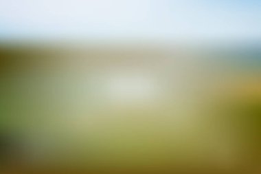 Soyut parlak ve pastel yeşil renkte degrade kafes arka plan bulanık. Renkli düzgün banner şablon. Eps10 kolay düzenlenebilir yumuşak renkli vektör resimde saydamlık olmadan.