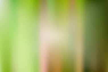 Soyut parlak ve pastel yeşil renkte degrade kafes arka plan bulanık. Renkli düzgün banner şablon. Eps10 kolay düzenlenebilir yumuşak renkli vektör resimde saydamlık olmadan.