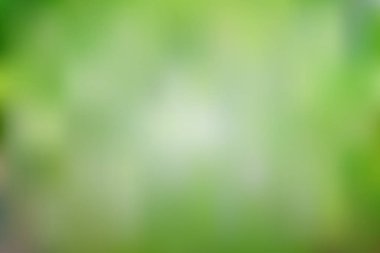 Soyut parlak ve pastel yeşil renkte degrade kafes arka plan bulanık. Renkli düzgün banner şablon. Eps10 kolay düzenlenebilir yumuşak renkli vektör resimde saydamlık olmadan.