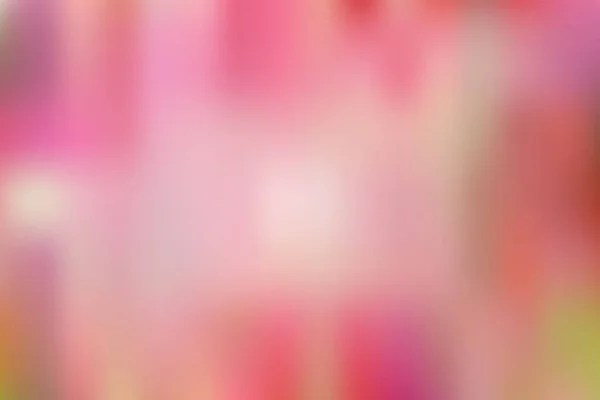 Abstract Wazig Verloopnet Achtergrond Helder Pastel Roze Kleuren Sjabloon Voor — Stockvector