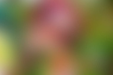 Soyut pastel yumuşak renkli desenli arkaplan tonu