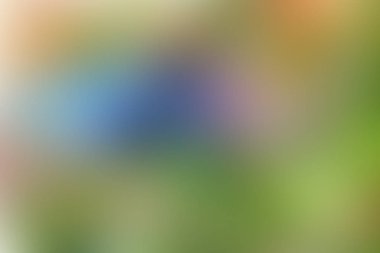 Soyut pastel yumuşak renkli desenli arkaplan tonu