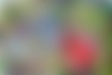 Soyut pastel yumuşak renkli desenli arkaplan tonu