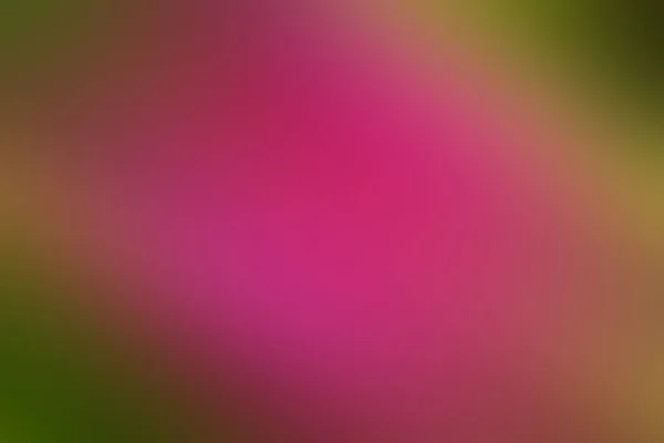 Abstract pastel zachte kleurrijke textuur achtergrond afgezwakt — Stockfoto