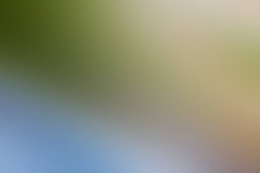 Soyut pastel yumuşak renkli desenli arkaplan tonu