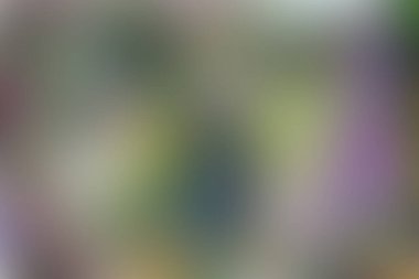 Soyut pastel yumuşak renkli desenli arkaplan tonu