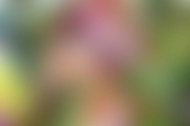 Soyut pastel yumuşak renkli desenli arkaplan tonu