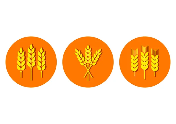 Getreidevektorsymbole auf weißem Hintergrund — Stockvektor