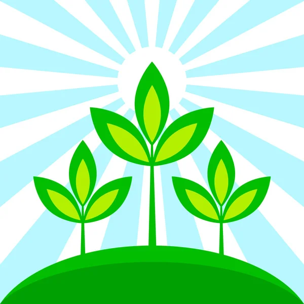 Ilustracja Wektora Roślinnego Słonecznego — Wektor stockowy