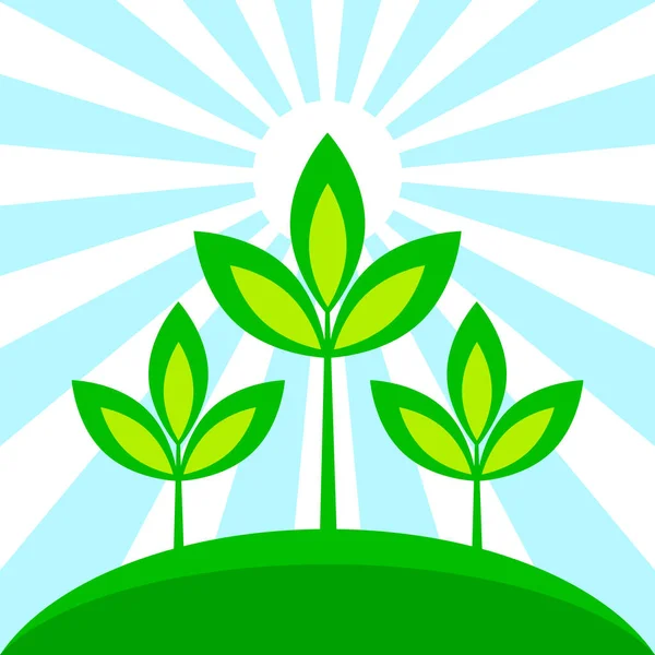 Planten Zonvector Illustratie — Stockvector