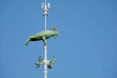  Valencia, İspanya Merkez piyasası üzerinde ünlü yeşil papağan. Bu fırıldak 