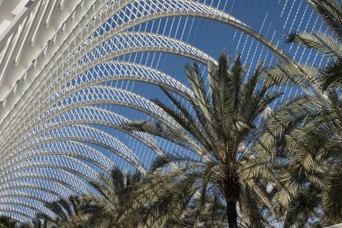 Valencia, İspanya - 25 Ocak 2018: L'umbracle, Valencia'da bir parçası. Bu modern bahçe heykel Bahçe ve çevre düzenlemesi yürüyerek şehre yerli bitki türleri ile ulaşılabilir. Sanat ve bilim kenti girişidir.