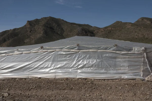 Part of a greenhouse of plastic In the south of Spain. This intensive cultivation is a problem for the environment.