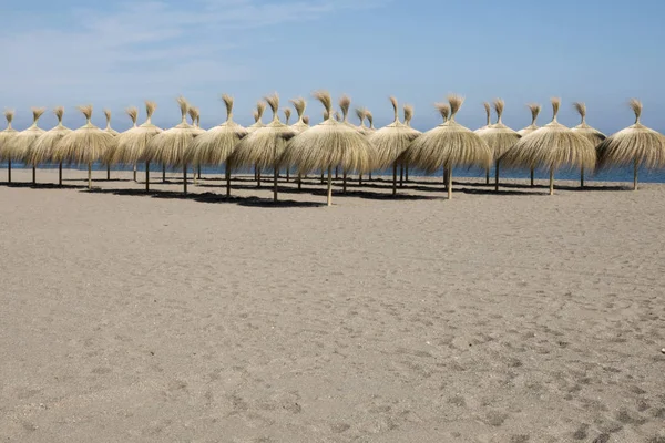 度假村海滩上一排排的草伞 在前景和复制空间中沙您的短信或促销内容 — 图库照片