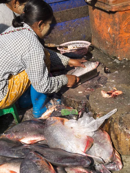Mandalay Myanmar Stycznia 2016 Kobieta Sprzedawca Patroja Ryby Ziemi Aby — Zdjęcie stockowe