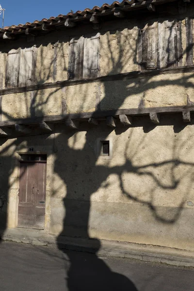 Pavie Occitanie France March 2019 Tree Shadow Medieval House Wall — Stock Photo, Image