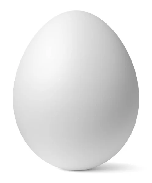 Ein Weißes Hühnerei Mit Weichem Schatten Auf Weißem Hintergrund Vorlage — Stockfoto