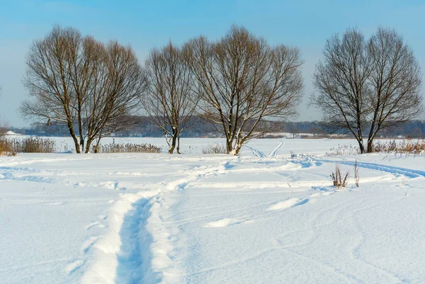 Zimní Sníh Pokryl Krajinu Zasněženým Polem Stromy Stezkou Pod Jasnou — Stock fotografie