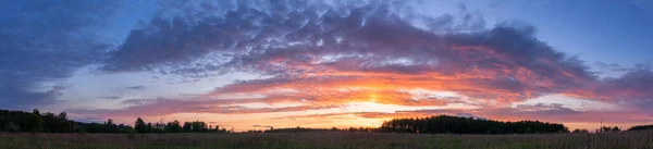 Пейзаж Сансетной Панорамы Летнего Поля Зеленой Травой Вечерние Сумерки Голубым — стоковое фото