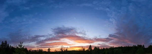 Landschap Van Sanset Panorama Van Zomer Weide Met Bomen Silhouet — Stockfoto