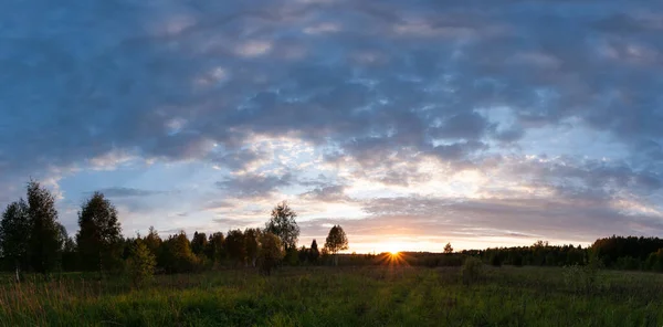 Zonsondergang Landschap Panorama Van Zomer Weide Met Groen Gras Avond — Stockfoto