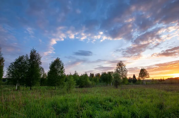 Zonsondergang Landschap Van Zomer Weide Met Groen Gras Avond Schemering — Stockfoto