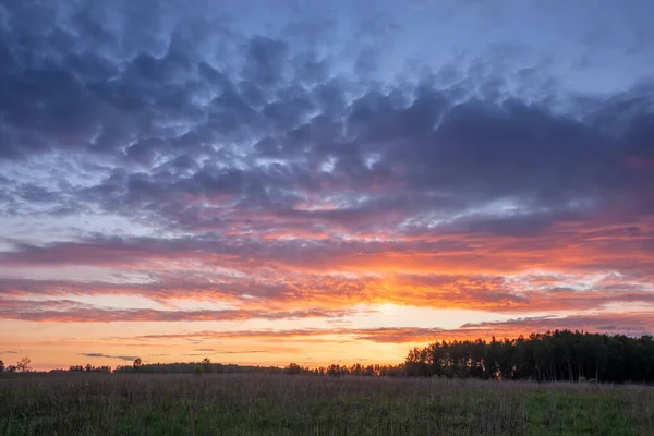 Krajobraz Piaszczystego Pola Letniego Zieloną Trawą Wieczornym Zmierzchu Pod Chmurami — Zdjęcie stockowe