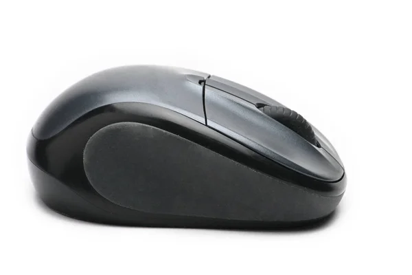 白い背景にコンピュータのマウス — ストック写真