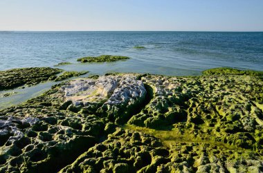 Yaz aylarında Hazar Denizi kıyıları