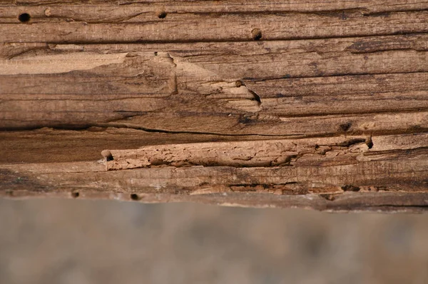 Latar belakang kayu dari warna gelap — Stok Foto