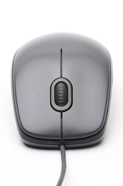 Computer mouse on white background — Stock Photo, Image