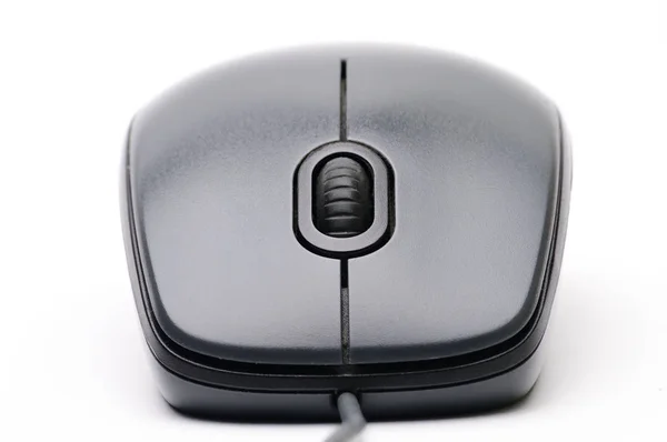 Computer mouse on white background — Stock Photo, Image