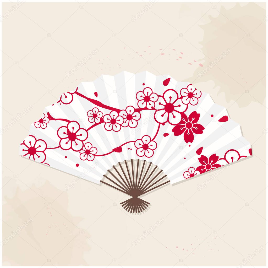 Japanese Fan Sakura Painting White Background Vector Image