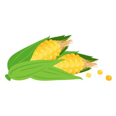 Meyve simgesi Mısır beyaz arka plan vektör görüntü