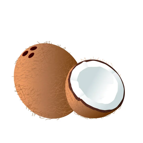 Icono Fruta Coco Fondo Blanco Vector Imagen — Vector de stock