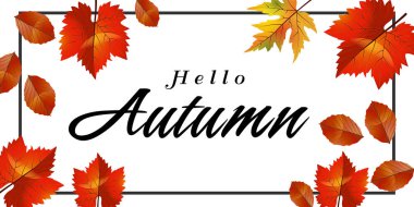 Merhaba sonbaharda akçaağaç kare çerçeve arka plan vektör görüntü