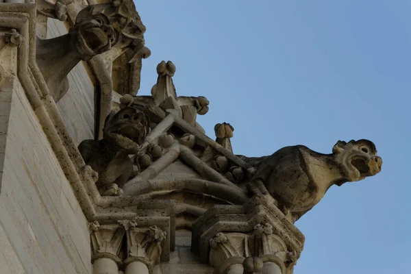 Elementos Arquitectónicos Cathdrale Notre Dame Paris Catedral Del Siglo Xiii — Foto de Stock