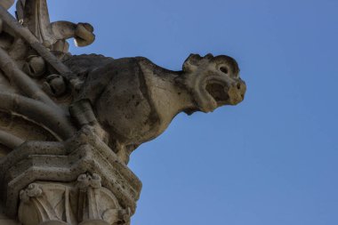 Mimari elemanları Cathdrale Notre-Dame de Paris - 13. yüzyıl Katedrali